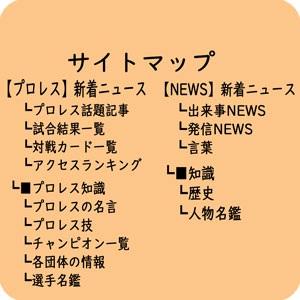 北斗晶 私は最強ではない でもあの柔道かぶれにだけは絶対に負けない プロレスニュース Megamatsuko